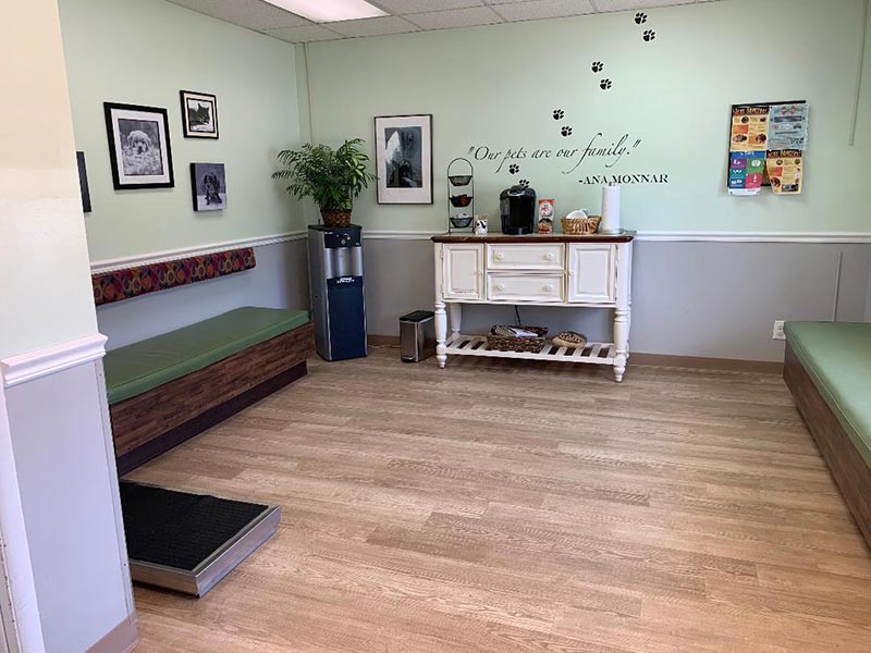 Brecksville OH Pet Hospital